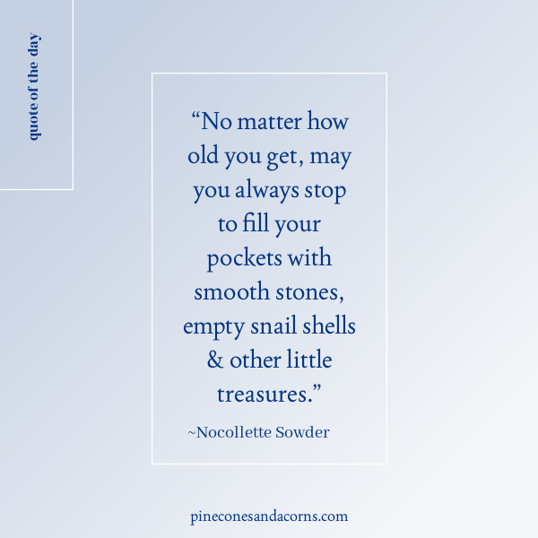 Quote “No matter how old you get, may you always stop to fill your pockets with smooth stones, empty snail shells & other little treasures.”