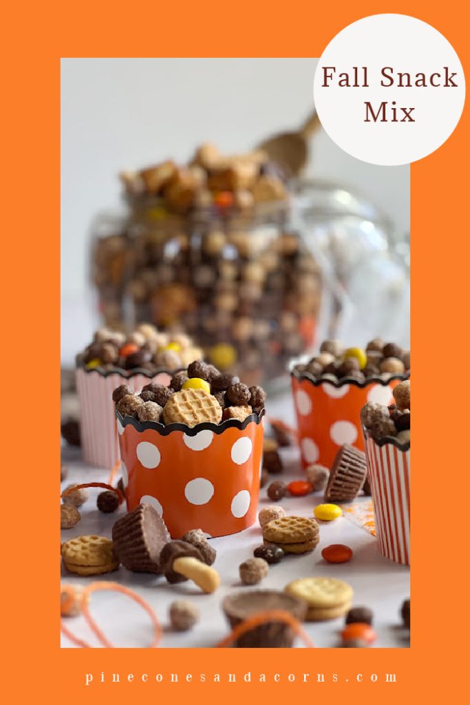 Fall Snack mix pin.
