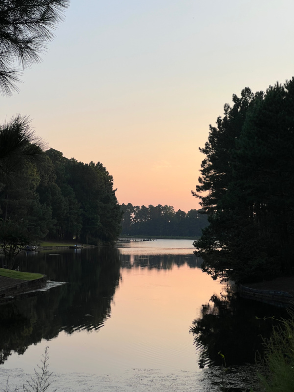 morning light on still water in late summe