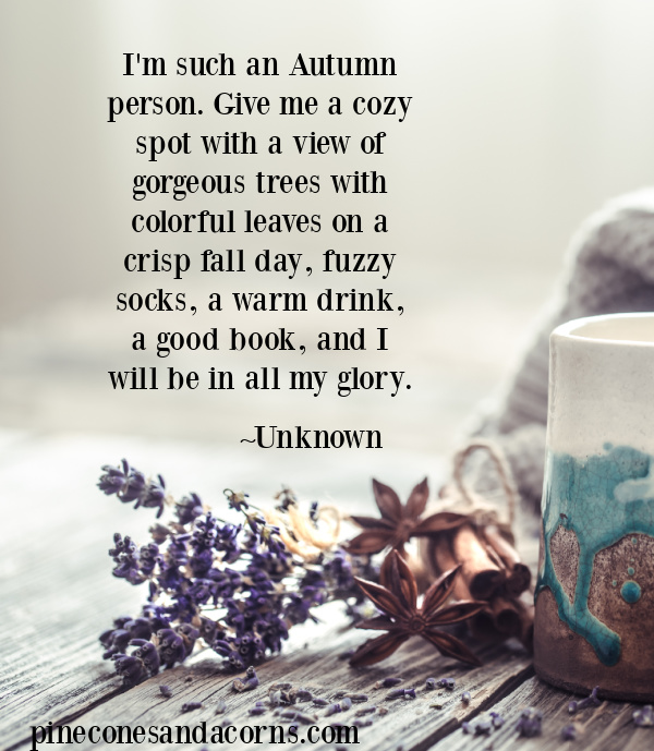I'm such an Autumn person. Give me a cozy spot with a view of gorgeous trees with colorful leaves on a crisp fall day, fuzzy socks, a warm drink, a good book, and I will be in all my glory.