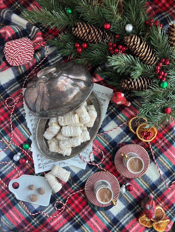 Nutmeg log flatlay with plaid blanket, silver lidded platter, two red cardinals, pinecones and nutmeg.
