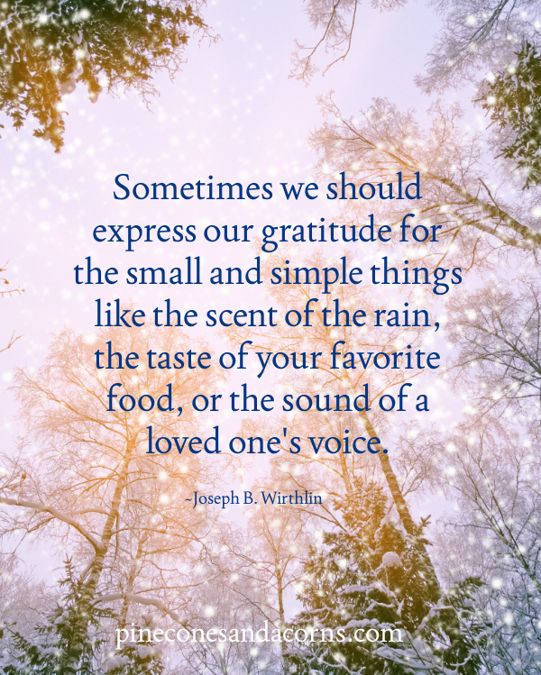 Joseph B. Wirthlin Sometimes we should express our gratitude for the small and simple things like the scent of the rain, the taste of your favorite food, or the sound of a loved one's voice.