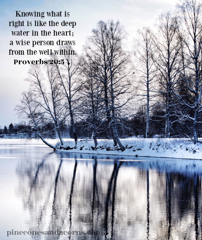 Knowing what is right is like the deep water in the heart; a wise person draws from the well within. Proverbs 20_5