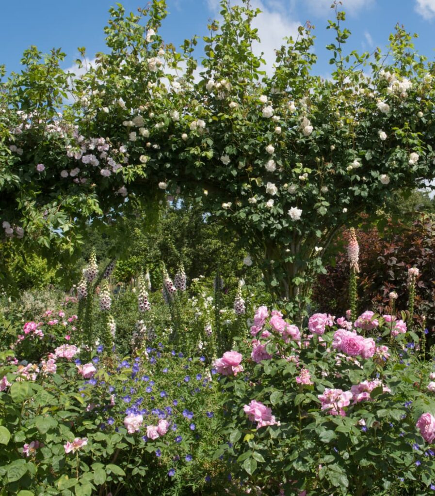 weekend meanderings — spring garden herbaceous border inspiration. 