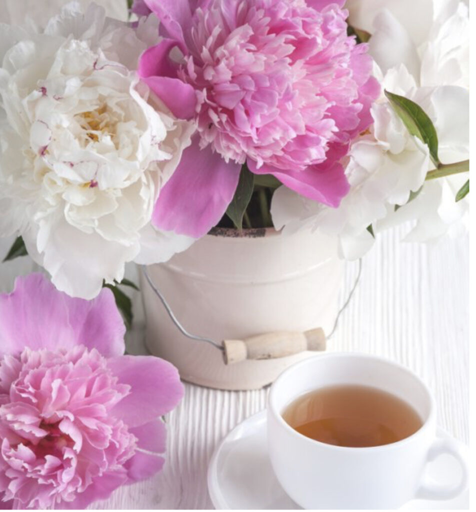 two ways to be a woman over 50, wallflower and woman who lights up a room, both completely right