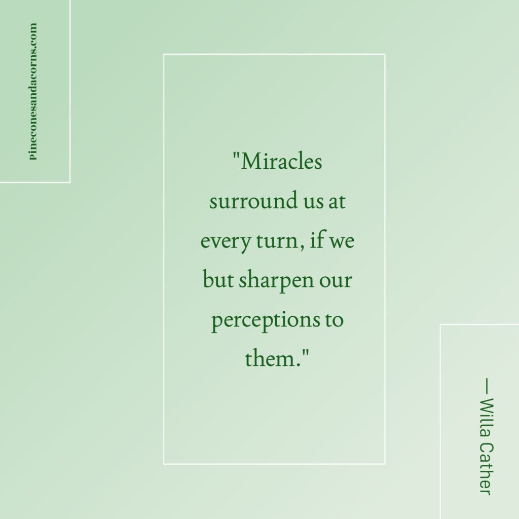 Quote Willa Cather