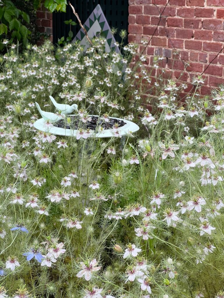 May garden — bird bath filled and ready for the cardinals wrens and doves of a Southern garden