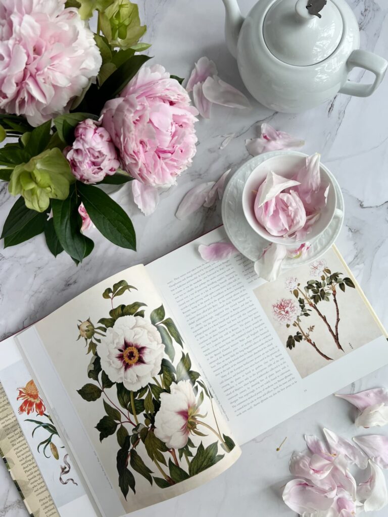 peonies in a vase and petals in a cup with a white teapot and a book of peonies