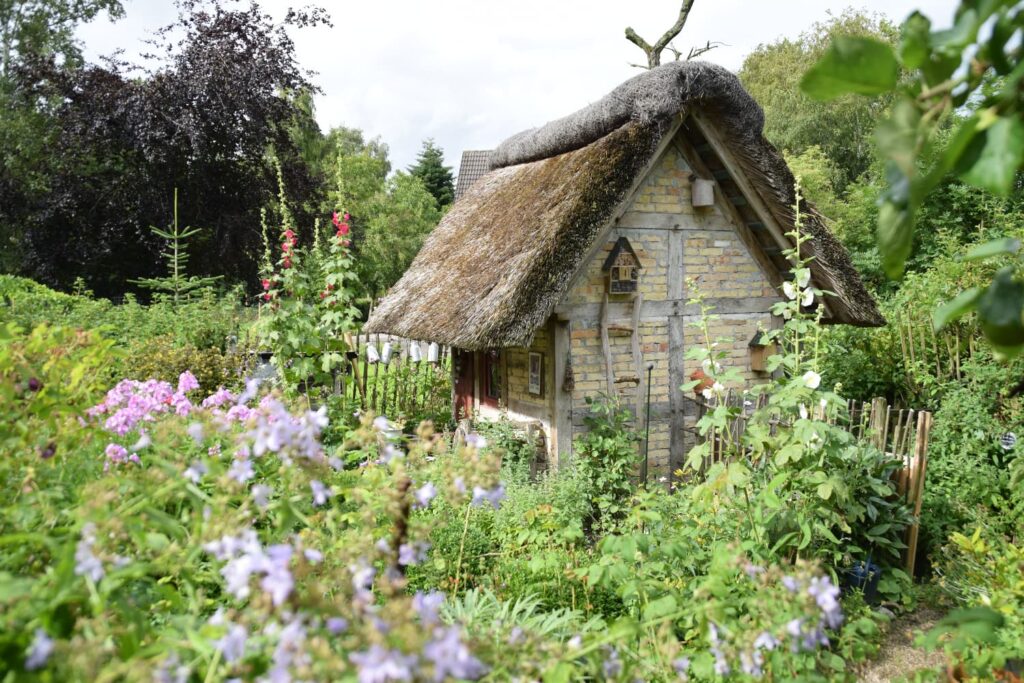 Weekend meanderings Summer morning in a cottage garden with foxglove