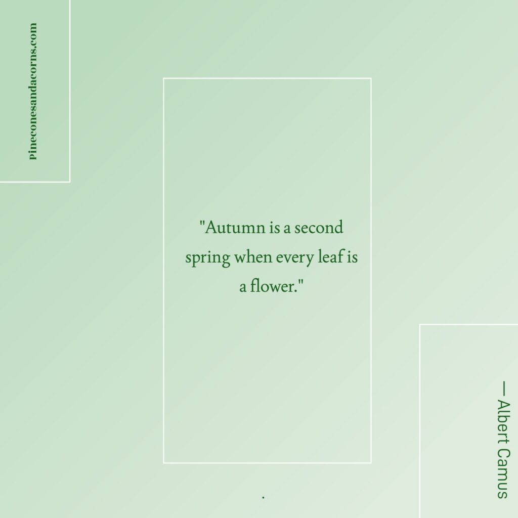 Quote Albert Camus Autumn is a second spring when every leaf is a flower.