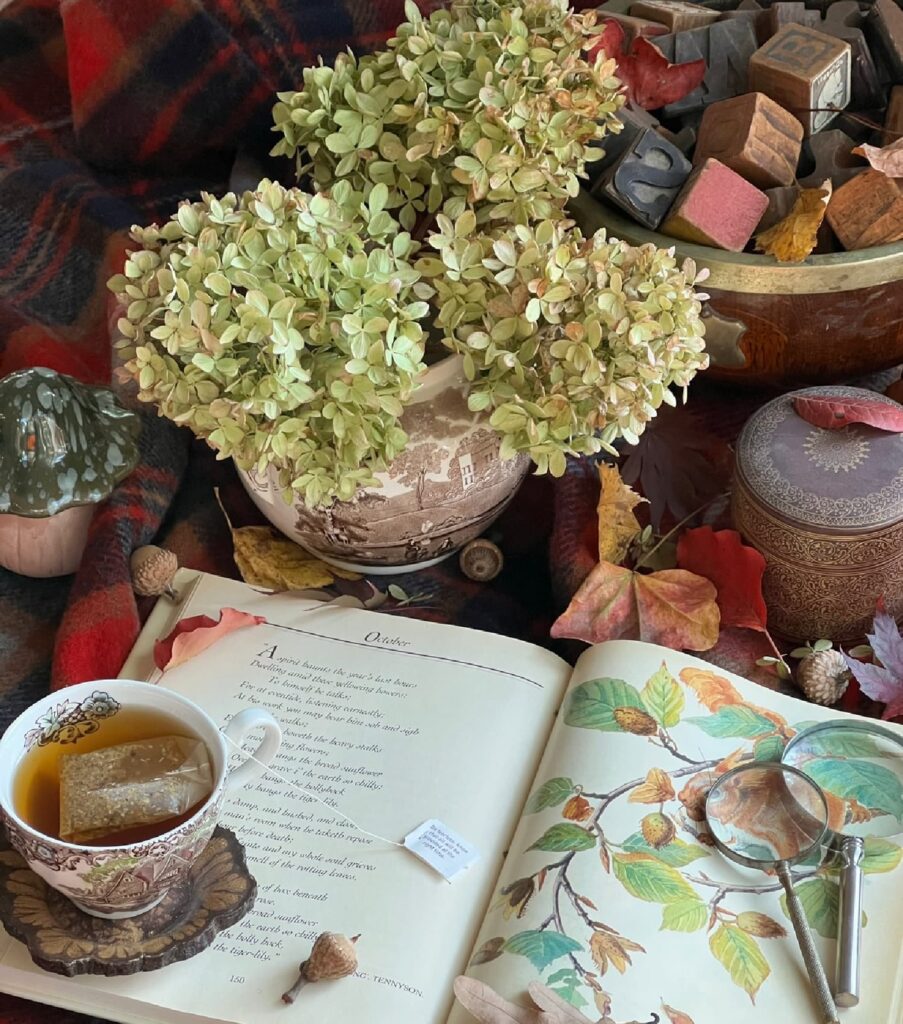 a collected home of transferware, leather boxes and books